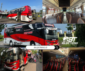 sewa bus pariwisata 50 seat