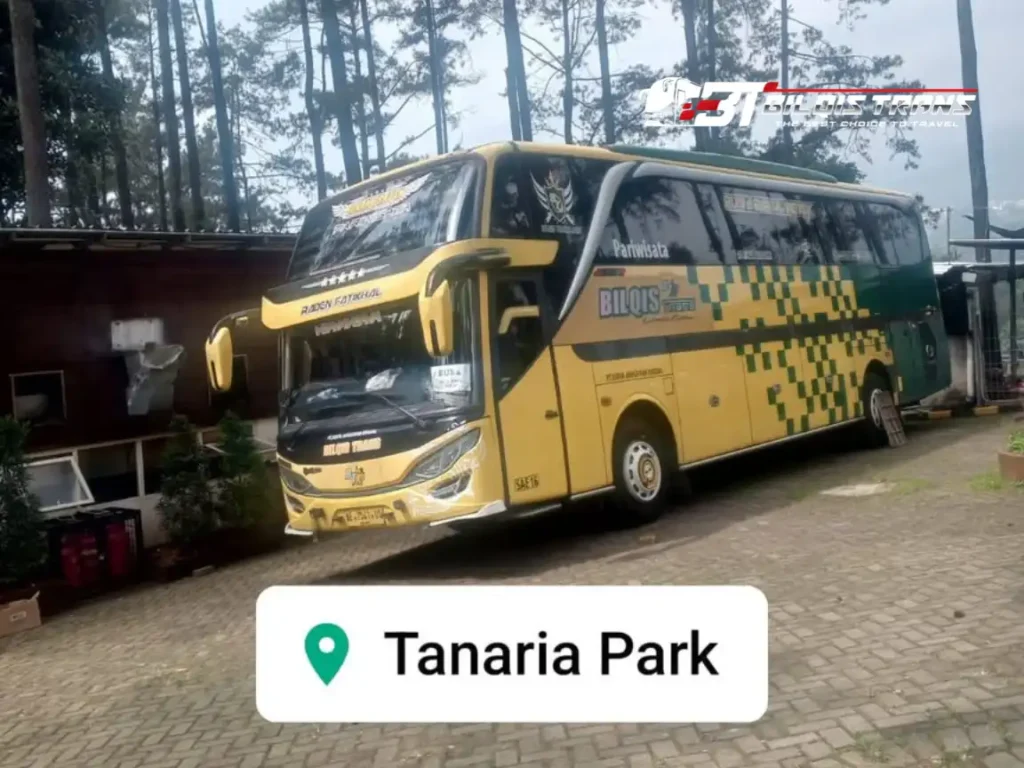 sewa bus murah surabaya